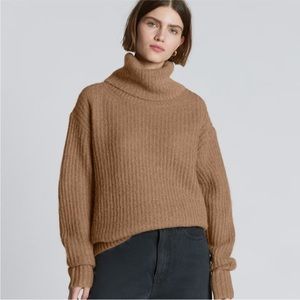 Everlane Alpaca Oversized Turtleneck